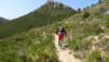 altea_chamo_benidorm_018
