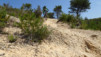 altea_chamo_benidorm_021