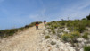 altea_chamo_benidorm_023