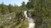 altea_chamo_benidorm_025