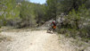 altea_chamo_benidorm_026
