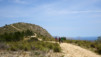 altea_chamo_benidorm_028