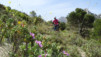 altea_matahombres_018