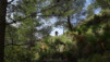 altea_matahombres_028