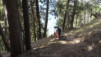 arbaray_20_016
