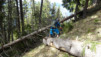 arbaray_20_017