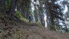 arbaray_20_022