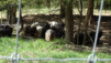arbaray_20_028