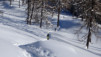 arpille_16_004