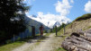 arpille_bovine_14_002