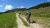 arpille_bovine_14_003