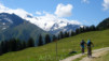 arpille_bovine_14_005