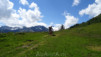 arpille_bovine_14_008