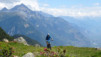 arpille_bovine_14_009