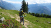 arpille_bovine_14_010