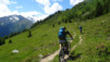 arpille_bovine_14_011