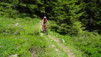 arpille_bovine_14_013