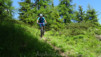 arpille_bovine_14_014