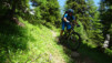 arpille_bovine_14_015