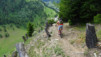 arpille_bovine_14_020