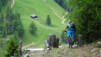 arpille_bovine_14_022
