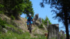 arpille_bovine_14_023