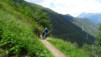 arpille_bovine_14_031