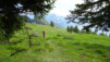 arpille_vtt_16_003