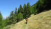 arpisson_007
