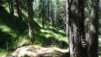 arpisson_012
