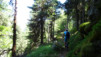 arpisson_013