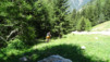 arpisson_023