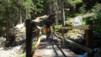 arpisson_027