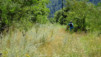 arpisson_041