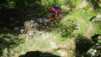bachalp_17_009