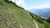 bachalp_17_018