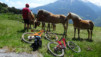 bachalp_17_023