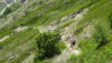 bachalp_17_038