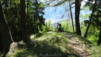 bachalp_19_027