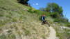 bachalp_19_039