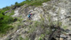 bachalp_19_041
