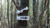bandite_scarlino_007