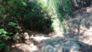 bandite_scarlino_015