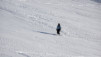 barasson_19_016