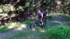 basset_001