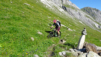 basset_005