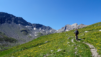basset_009