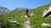 basset_023