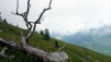 bavon_deuve_003