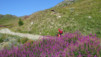 becca_france_004